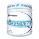 ISO PALATINOSE (300G) - PERFORMANCE NUTRITION