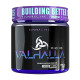 PRE-WORKOUT VIKING VALHALLA (450G) - CANIBAL INC