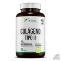 COLÁGENO TIPO II (30 CAPS) - FITOWAY